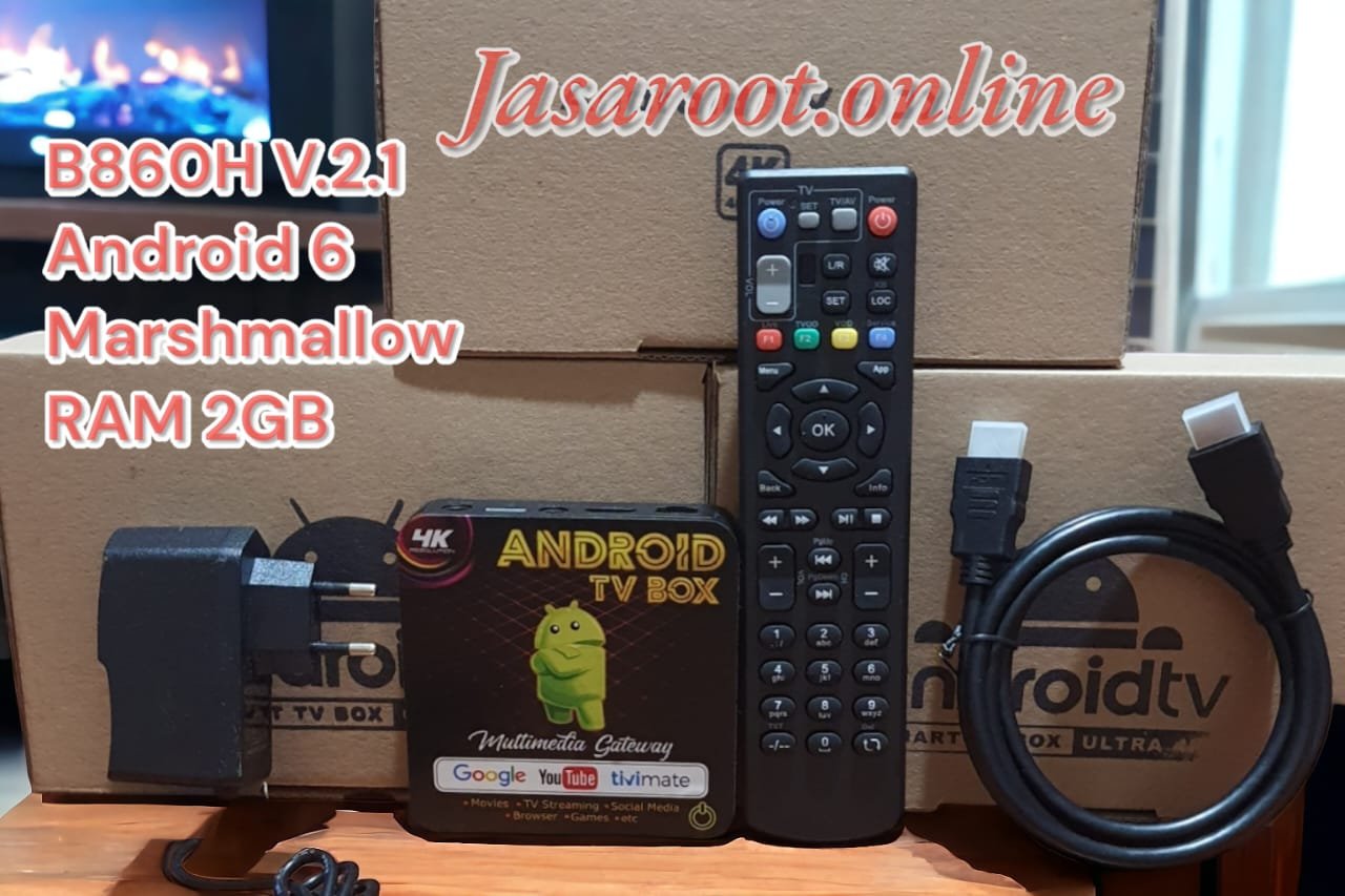 Root & Optimasi STB